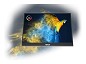 Preview: ASUS ZenScreen OLED MQ16AHE - OLED-Monitor - Full vorn links