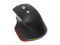 Preview: Acer Easy Fit - Maus - ergonomisch - optische LED rechts