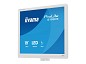 Preview: iiyama ProLite B1980S-W1 - LED-Monitor - 48 cm (19 rechts