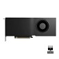 Preview: PNY NVIDIA RTX PRO 4000 Blackwell - Grafikkarten v