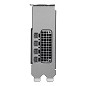 Preview: PNY RTX PRO 2000 Blackwell, 16GB GDDR7, 4x mDP, Sm hinten