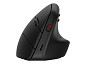 Preview: HP 925 - vertikale Maus - 2.4 GHz, Bluetooth 5.3 - Schwarz 513