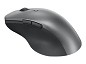 Preview: Lenovo Professional - Maus - Bluetooth 5.1 - Storm oben