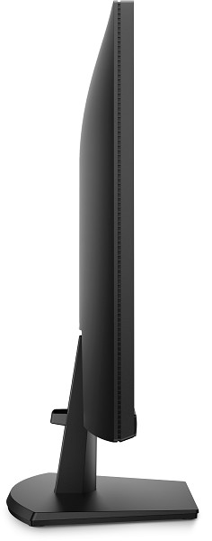 DELL SE2426H Computerbildschirm 60,5 cm (23.8") 19 unten