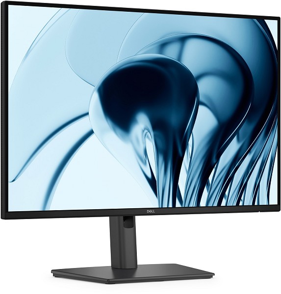 DELL Pro P P2426 Computerbildschirm 61,2 cm (24.1