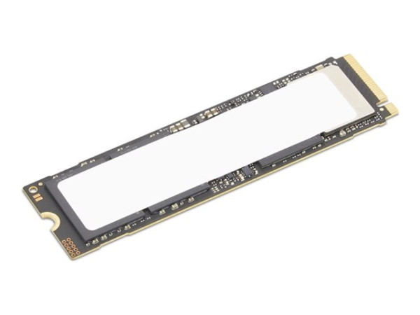 Lenovo ThinkStation - SSD - verschlüsselt - 1 TB -