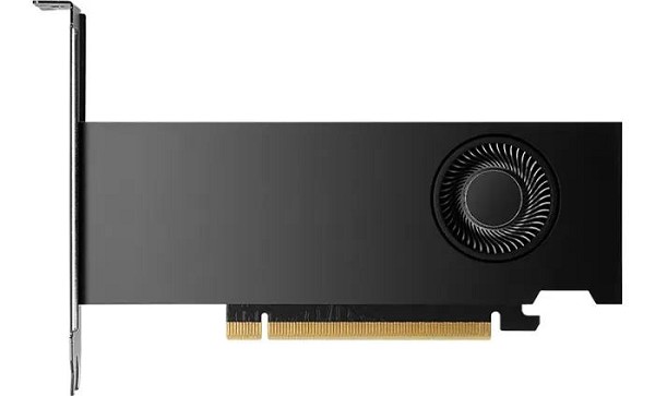 Preview: PNY RTX 2000 Ada Generation, 16GB GDDR6, 4x mDP, S rechts