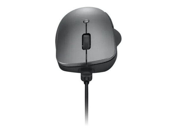 Lenovo Professional - Maus - Bluetooth 5.1 - Storm
