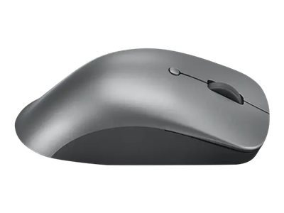 Lenovo Professional - Maus - Bluetooth 5.1 - Storm unten