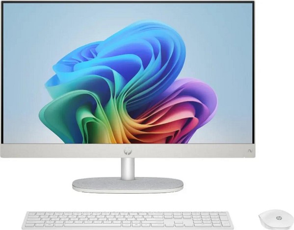 HP All-in-One 24-ct2450ng - 23.8