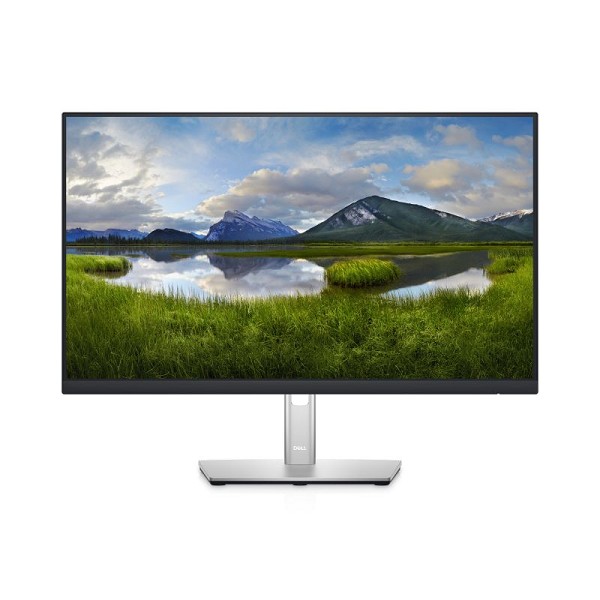 Dell P2422HE - 23,8
