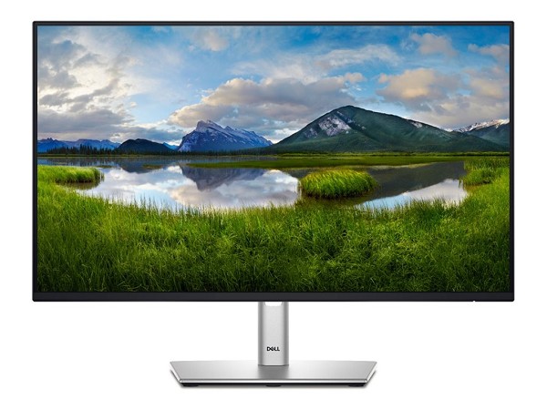 Dell P2425HE - LED-Monitor - Full HD (1080p) - 61