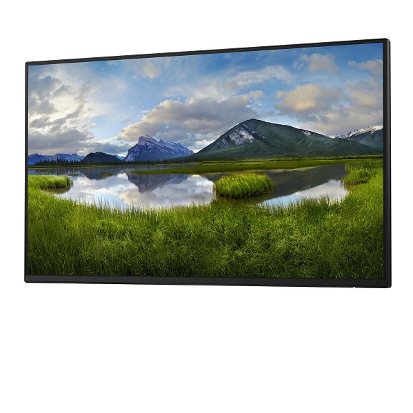 Preview: DELL P Series P2425HE_WOST Computerbildschirm 61 c hinten