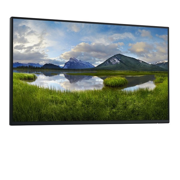 Preview: DELL P Series P2425HE_WOST Computerbildschirm 61 c links