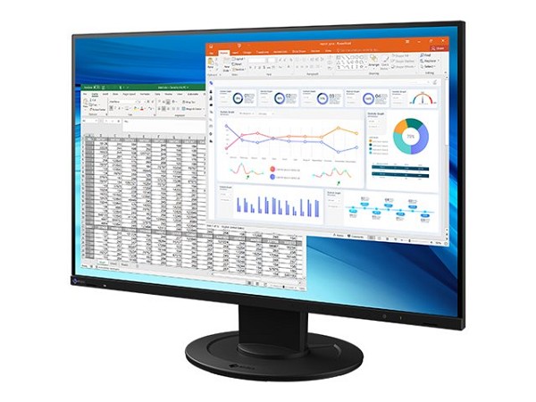 EIZO FlexScan EV2410R-BK - Mit FlexStand - LED-Mon