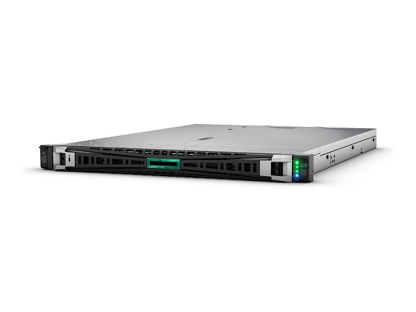 HPE ProLiant DL320 Gen11 - Server - Rack-Montage -