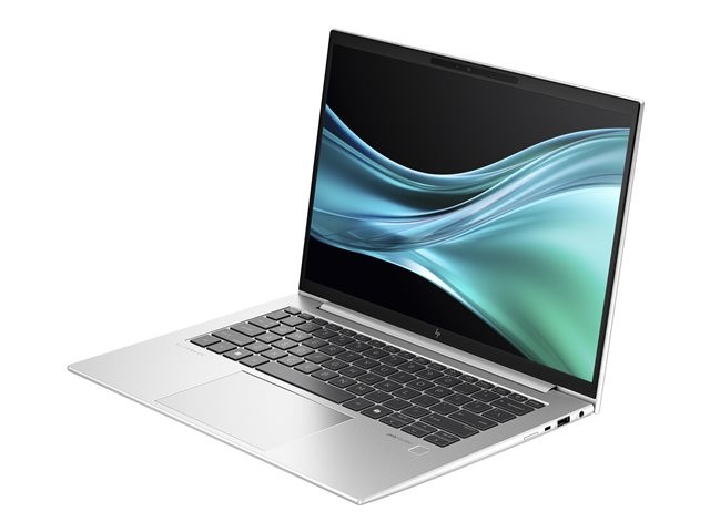 HP EliteBook 845 G11 Notebook - 35.6 cm (14") - Ry