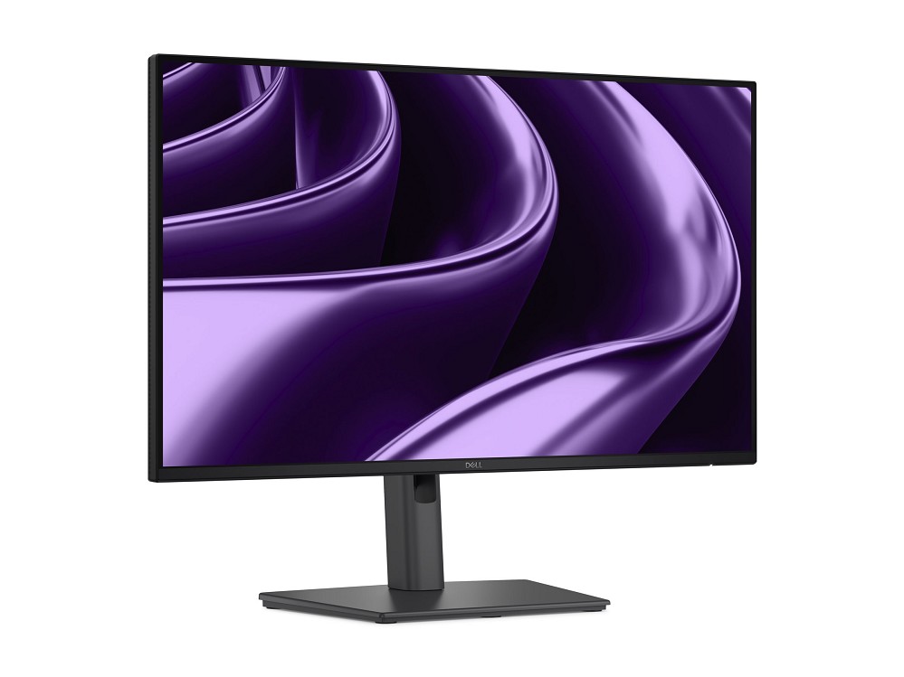 Dell Pro P P2426HE - Ohne Standfuß - LED-Monitor - hinten