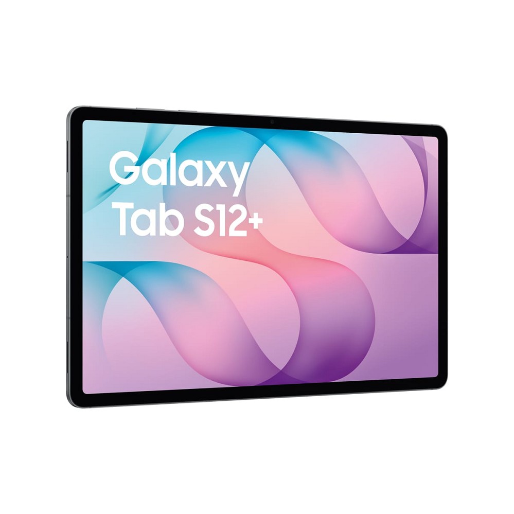 Samsung Galaxy Tab S12+ Wi-Fi Gray, 12,6" Dynamic AMOLED 2X, hinten