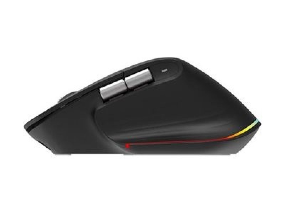 Acer Easy Fit - Maus - ergonomisch - optische LED links