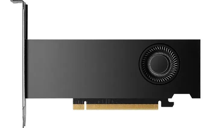 PNY RTX 2000 Ada Generation, 16GB GDDR6, 4x mDP, S rechts