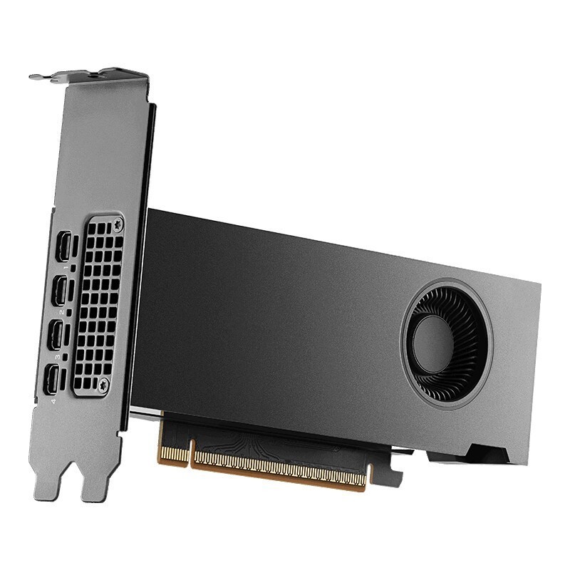 PNY RTX PRO 2000 Blackwell, 16GB GDDR7, 4x mDP hinten