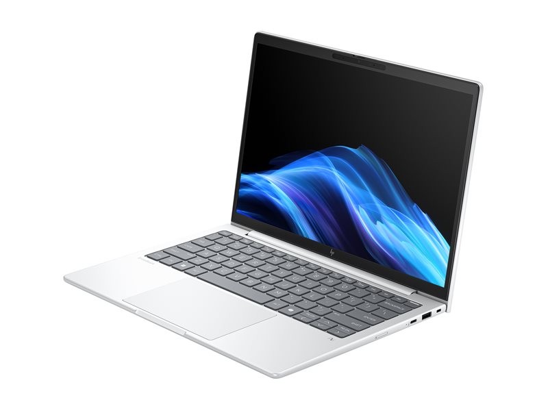 HP EliteBook 8 G1a Notebook AI - 33.8 cm (13.3") -