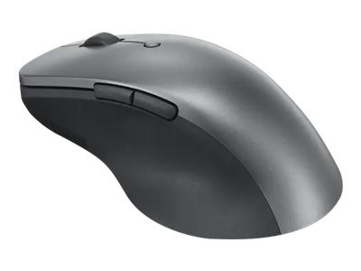 Lenovo Professional - Maus - Bluetooth 5.1 - Storm oben