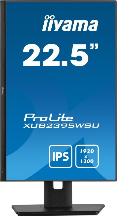iiyama ProLite XUB2395WSU-B5, 22.5"  hinten hinten