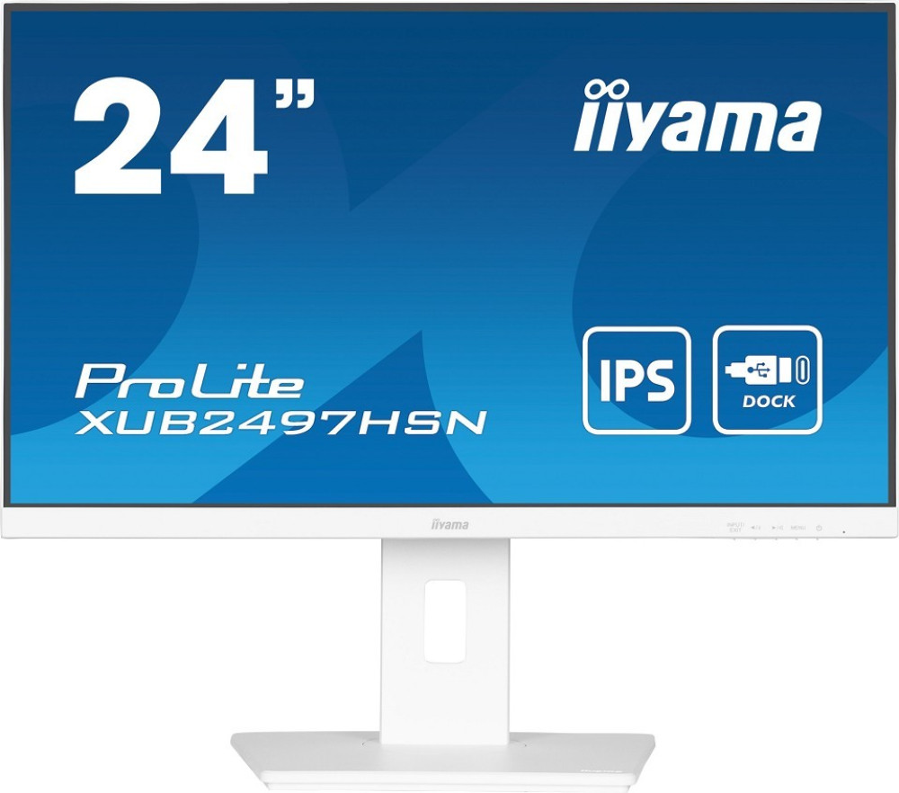 iiyama ProLite XUB2497HSN-W2 - LED-Monitor - Full