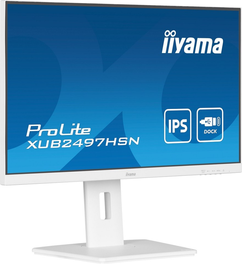 iiyama ProLite XUB2497HSN-W2 - LED-Monitor - Full hinten