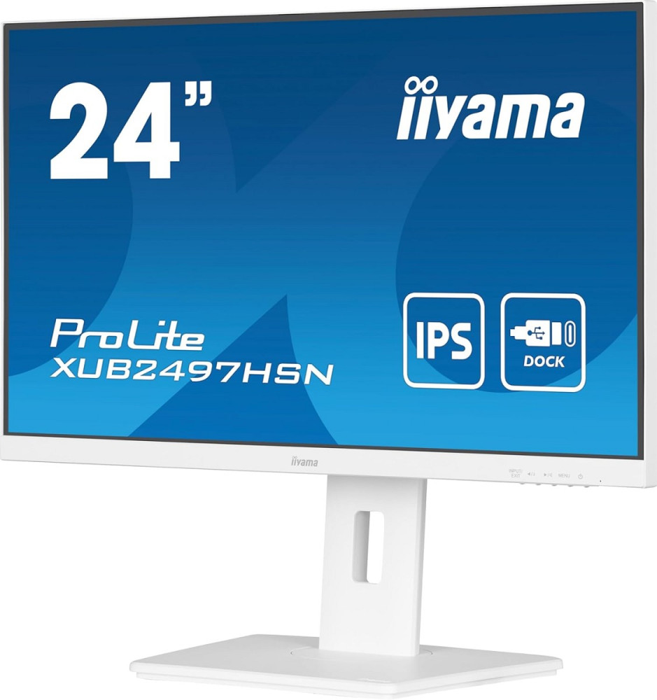 iiyama ProLite XUB2497HSN-W2 - LED-Monitor - Full links