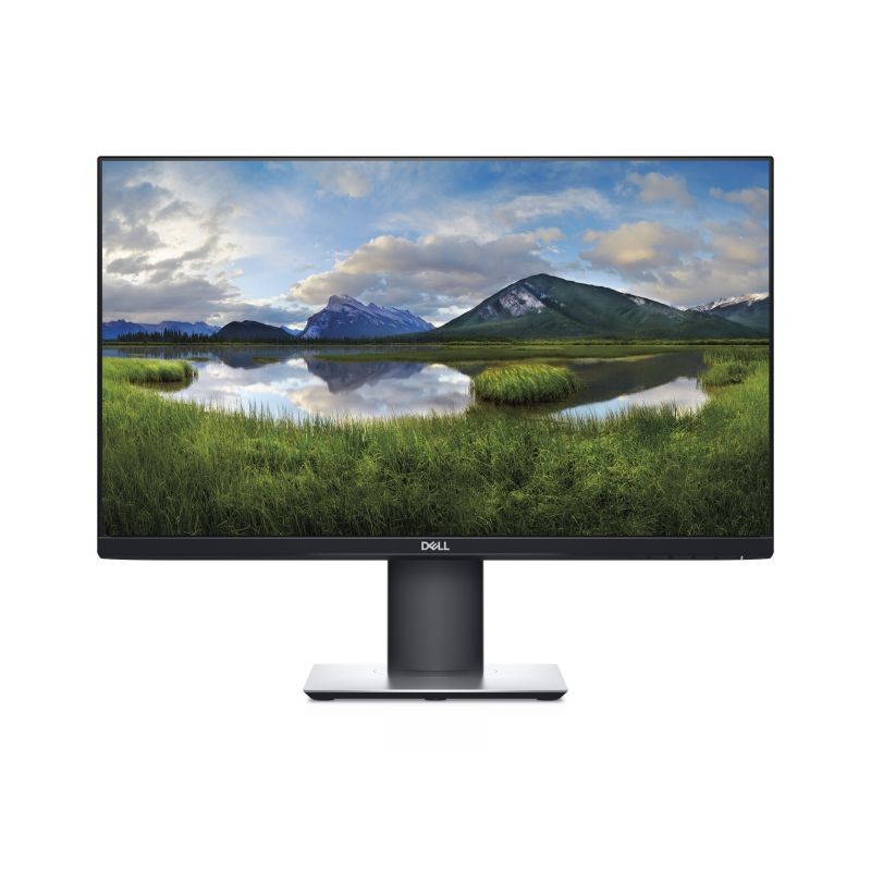 Dell P2419H - 23,8" *Refurbished* 410