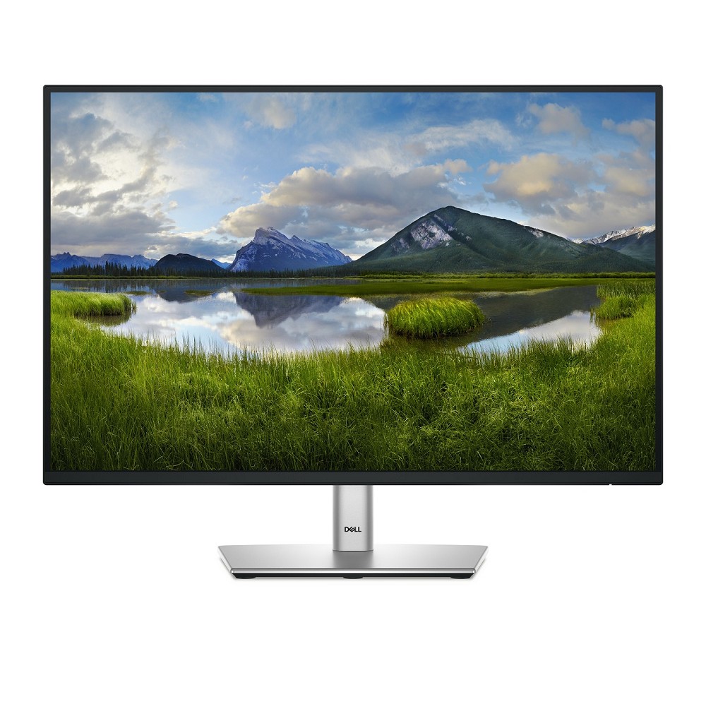 DELL P Series P2425 Computerbildschirm 61,1 cm (24