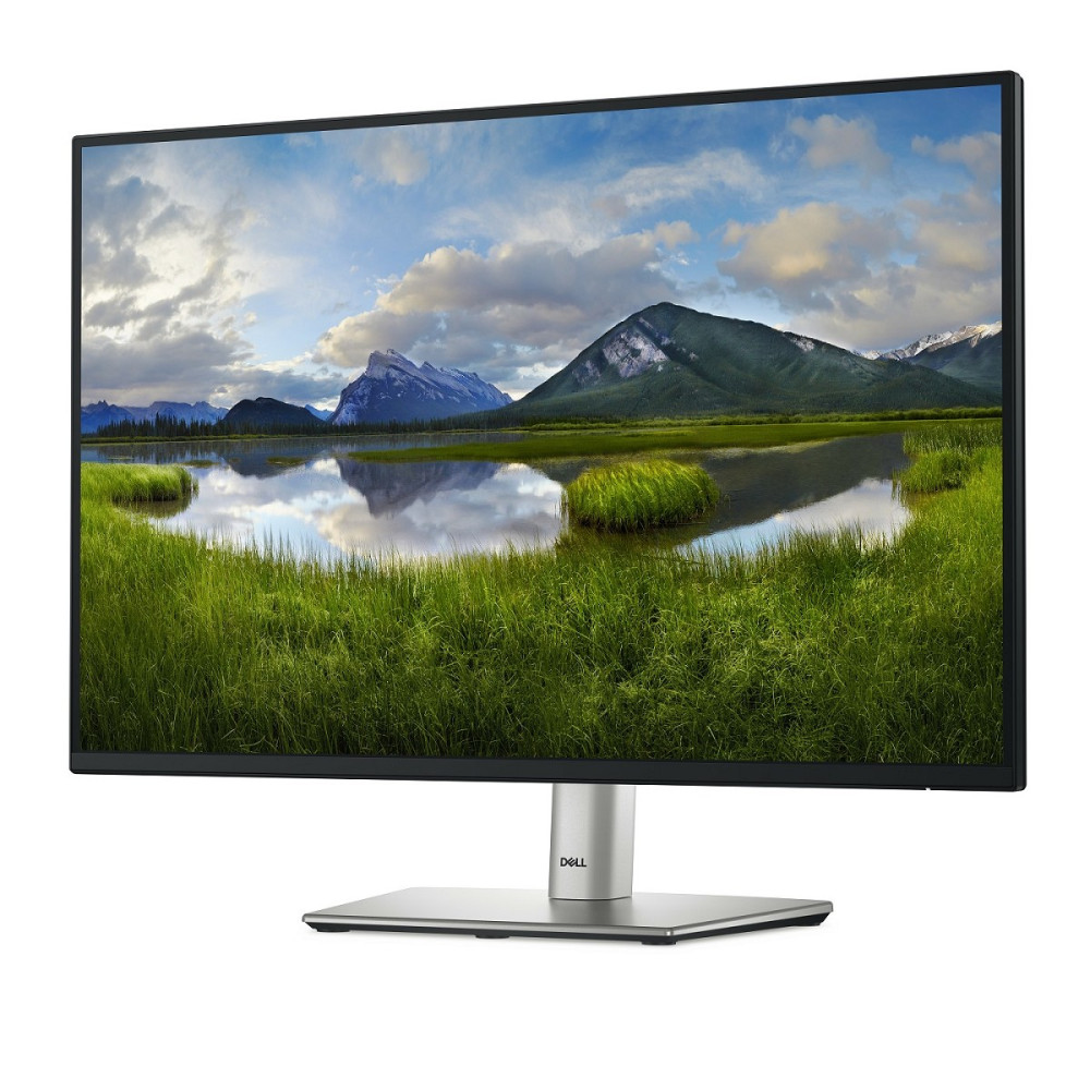 DELL P Series P2425 Computerbildschirm 61,1 cm (24 hinten