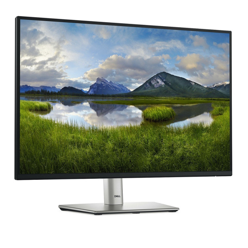 DELL P Series P2425 Computerbildschirm 61,1 cm (24 links