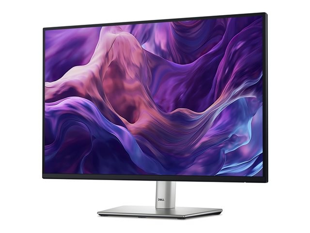 Dell P2425E - LED-Monitor - 61 cm (24")  hinten hinten