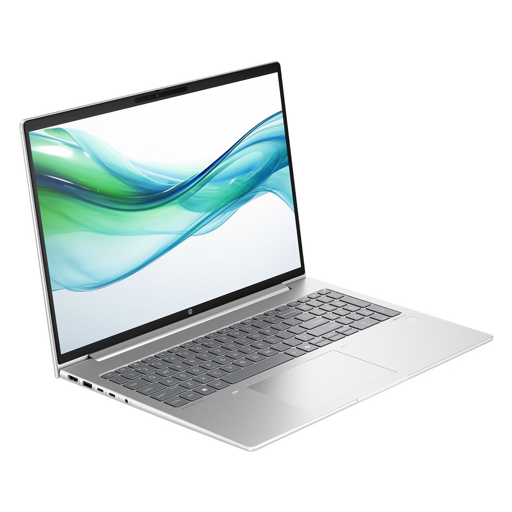 HP ProBook 460 G11, Pike Silver, Core Ultra 5 125U hinten